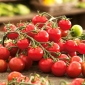 Pomidor czereśniowy Idyll - 80 nasion