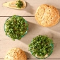 Microgreens - Brukiew - młode listki o unikalnym smaku - 250 gram